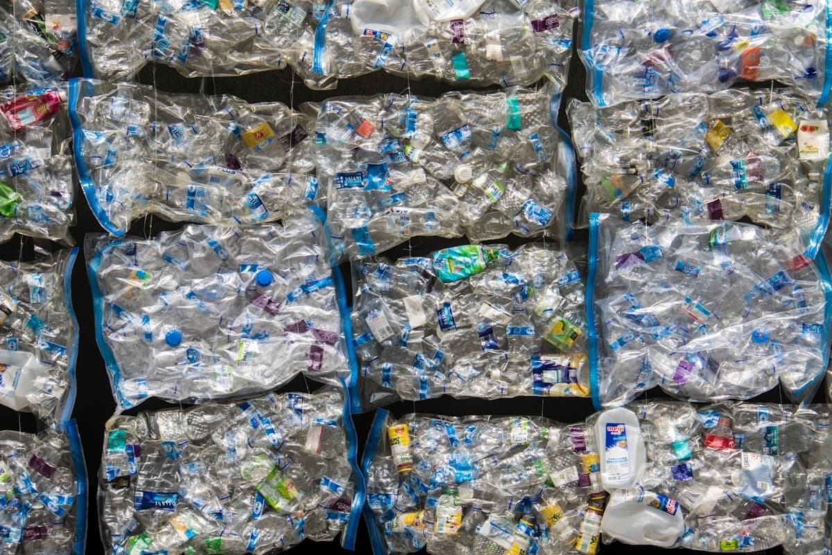 Compressed bales of plastic bottles at a recycling facility